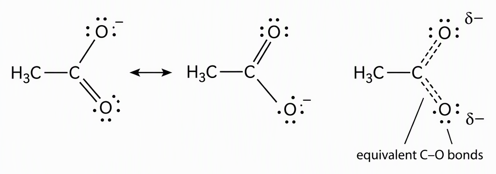 The two ethanoate resonance contributors with the negative charge on opposite oxygen atoms joined by a resonance double-headed arrow, followed by a resonance hybrid labelled “equivalent C–O bonds” with equal partial-double-bond markings and shared negative charge on both oxygen