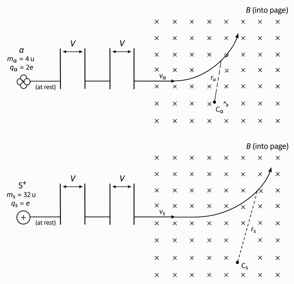 Two schematic rows showing an alpha particle labelled α, m_α = 4 u, q_α = 2e and a sulfur ion labelled S⁺, m_s = 32 u, q_s = e starting from rest, crossing acceleration gaps each labelled V, and entering a common uniform-field region marked B into the page with rightward