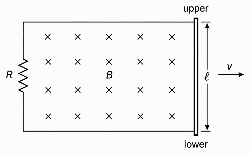 Two parallel horizontal rails joined by a resistor labelled R at the left and bridged by a vertical conducting rod labelled length ell at the right, with the rod’s ends labelled upper and lower, a rightward velocity arrow labelled v and crosses throughout the circuit region
