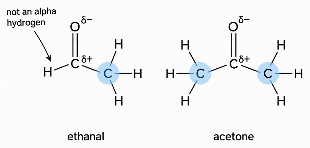 Ethanal and acetone side by side, label each carbonyl carbon with a partial positive charge and oxygen with a partial negative charge, highlight the adjacent alpha carbons and their hydrogens, and label ethanal’s hydrogen bonded directly to the carbonyl carbon as “not an alpha