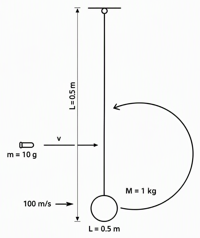 A 10 g bullet shown moving horizontally right with velocity v toward a stationary 1 kg bob hanging vertically from a fixed point by an inextensible string of length L = 0.5 m; after head-on collision the bullet recoils left at 100 m/s while the bob begins swinging upward along a