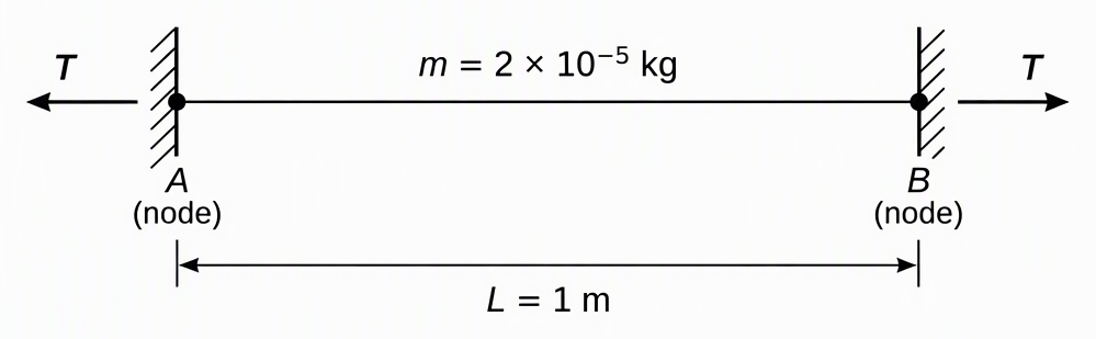 A horizontal stretched string between fixed supports A and B, label both endpoints as nodes, mark the span L = 1 m and total string mass m = 2 × 10^-5 kg, and show outward axial arrows labelled T at the two ends.