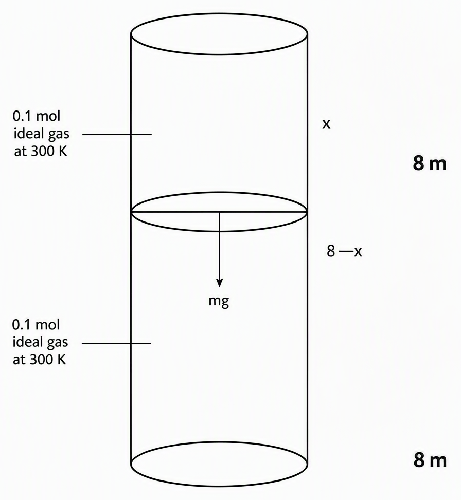 Vertical closed cylinder 8 m tall containing a horizontal movable diathermic partition of mass 8.3 kg initially at 4 m from the top; upper chamber height labelled x, lower chamber height labelled 8-x, both with 0.1 mol ideal gas at 300 K, partition weight mg acting downward.
