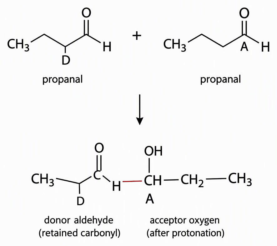 The self-aldol addition of two propanal molecules with the donor alpha carbon labelled D and the acceptor carbonyl carbon labelled A, then show CHO–CH(CH3)–CH(OH)–CH2–CH3 with the new D–A bond highlighted, the donor aldehyde labelled retained carbonyl and the acceptor oxygen