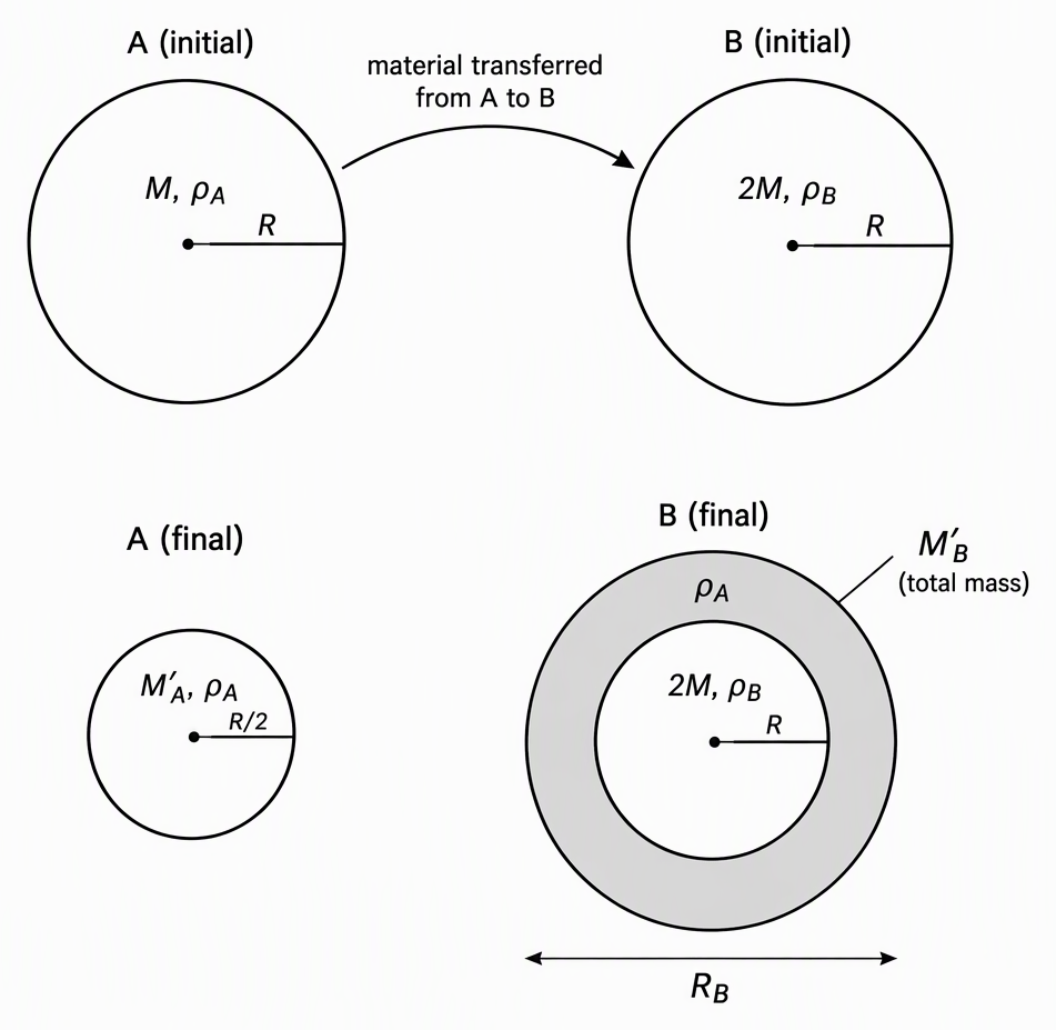 Schematic before-and-after cross-sections of stars A and B, labelling initial A with radius R, mass M and density rho_A, initial B with radius R, mass 2M and density rho_B, final A with radius R/2, unknown mass M_A_prime and density rho_A, and final B with its unchanged core