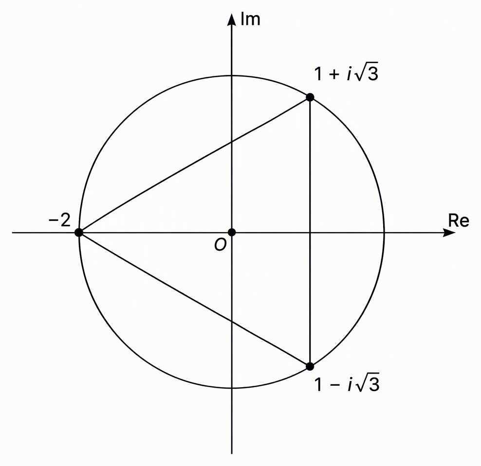 An Argand plane with a circle of radius two centred at O, three marked roots labelled one plus i square-root three, minus two, and one minus i square-root three, and segments joining the roots into an equilateral triangle.