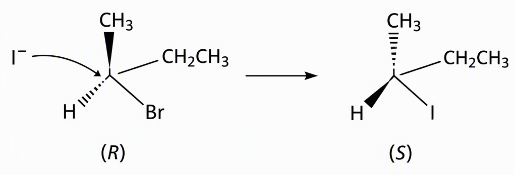 A two-panel stereochemical scheme showing backside iodide attack opposite the carbon–bromine bond of (R)-2-bromobutane and inversion to (S)-2-iodobutane, with methyl, ethyl and hydrogen labelled at the stereocentre and both structures drawn using wedge-and-dash bonds.
