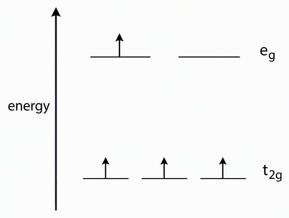 An orbital energy-level diagram for the high-spin octahedral manganese(III) bromide complex, with an upward arrow labelled energy, three lower equal-energy lines labelled t2g each containing one upward electron arrow, and two upper equal-energy lines labelled eg containing one