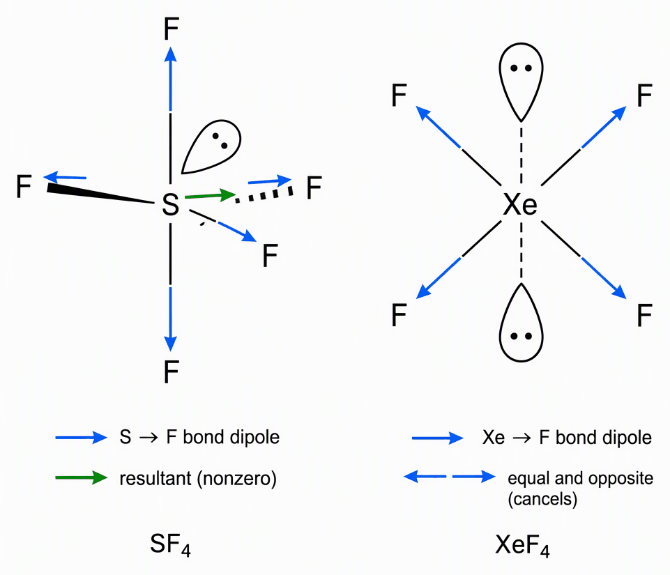 SF4 with two axial and two equatorial fluorines, an equatorial sulfur lone pair, S-to-F bond-dipole arrows and a nonzero resultant, alongside square-planar XeF4 with four fluorines, two opposite xenon lone pairs perpendicular to the plane and equal opposing Xe-to-F dipole arrows
