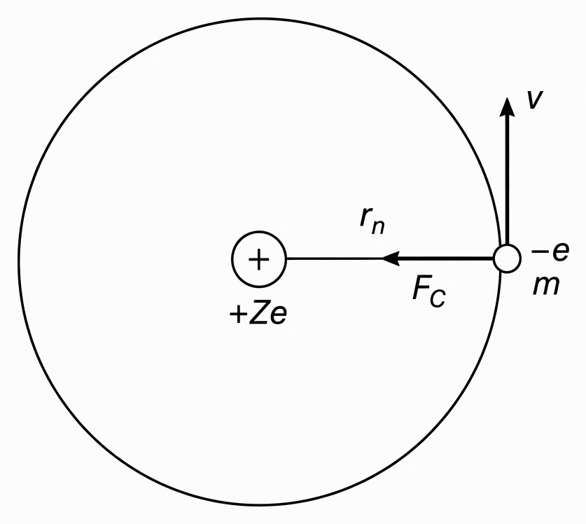 A circular Bohr orbit with a central nucleus labelled +Ze, an electron on the circumference labelled −e and mass m, a centre-to-electron radius labelled rₙ, a tangential velocity arrow labelled v, and a radially inward Coulomb-force arrow labelled F_C.