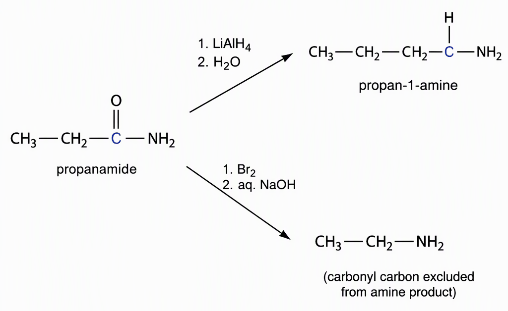 Two reaction paths from propanamide with its carbonyl carbon highlighted, the lithium aluminium hydride reduction path ending at propan-1-amine with that carbon retained beside nitrogen and the bromine plus aqueous sodium hydroxide path ending at ethanamine with a label stating