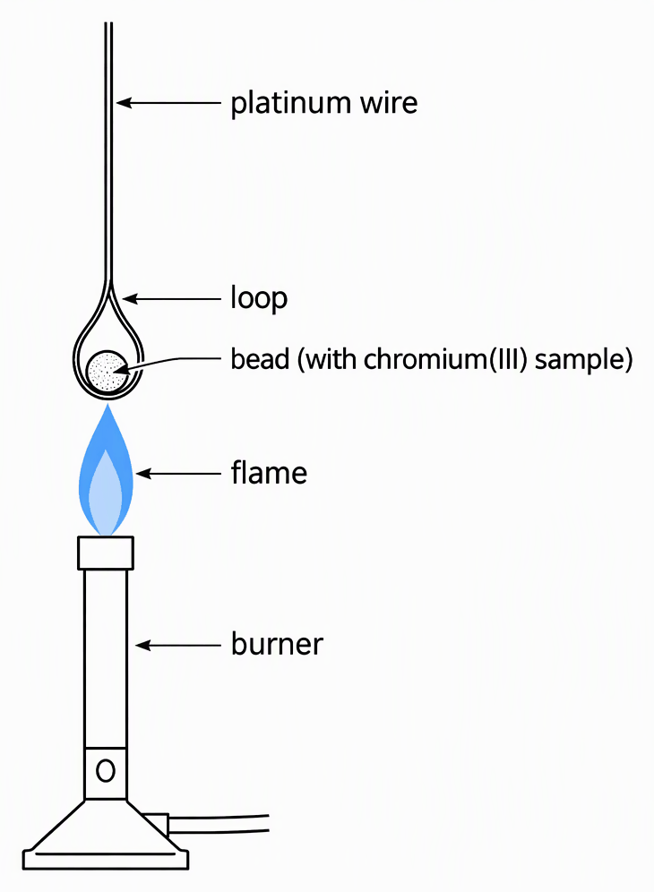 A schematic borax-bead test with a platinum-wire loop holding the bead containing the chromium(III) sample above a burner, labelling the platinum wire, loop, bead, flame and burner.