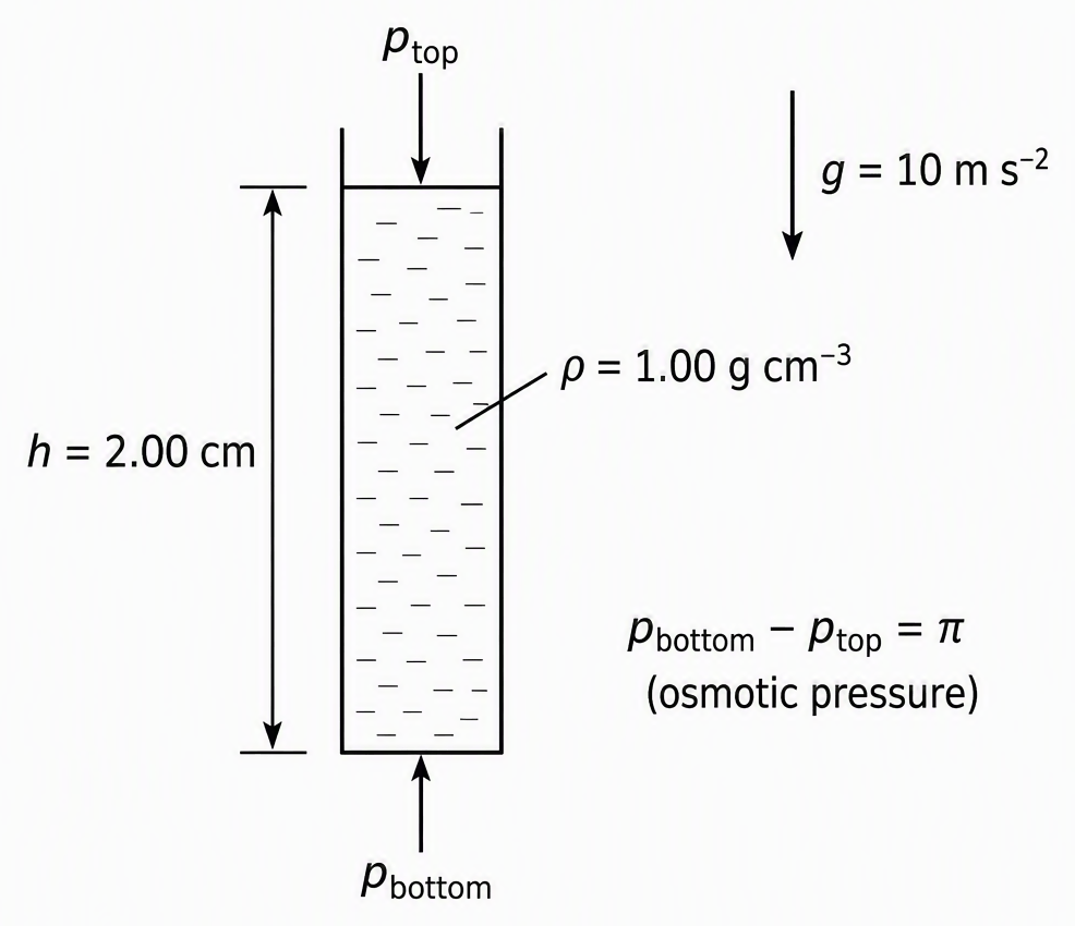 A schematic vertical column of solution with a double-headed height arrow labelled h = 2.00 cm, the liquid labelled ρ = 1.00 g cm⁻³, a downward arrow labelled g = 10 m s⁻², and a note identifying the pressure difference between its bottom and top as the osmotic pressure π.