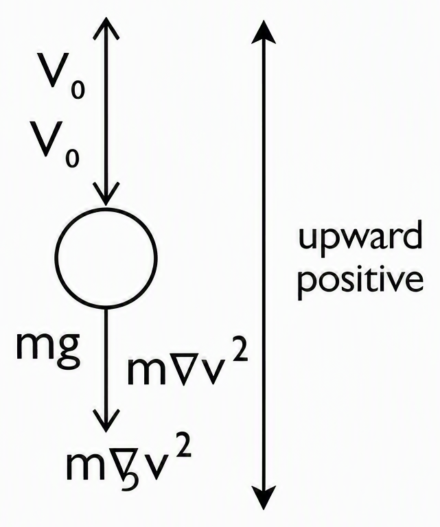 Ball shown with upward arrow labelled V0, downward arrow mg for gravity, downward arrow mγv² for drag during ascent, upward direction defined as positive